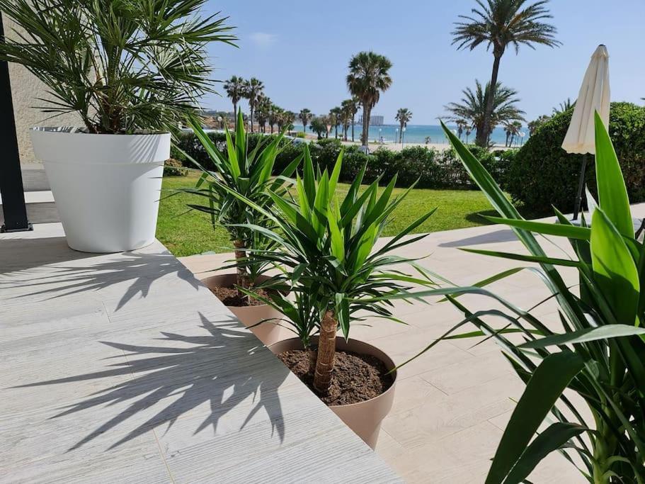 Villa On The Beach Playa Flamenca Orihuela Exteriér fotografie